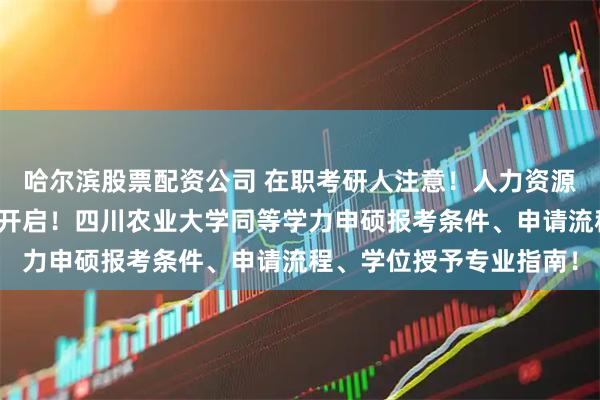 哈尔滨股票配资公司 在职考研人注意！人力资源管理硕士免考入学申请开启！四川农业大学同等学力申硕报考条件、申请流程、学位授予专业指南！